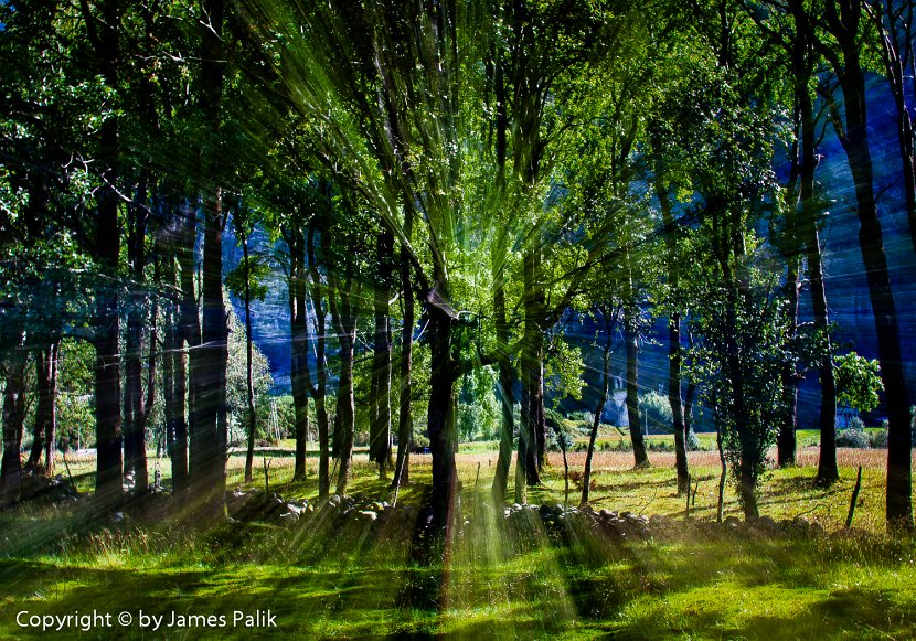 Meadow's Edge, Norway - 0962