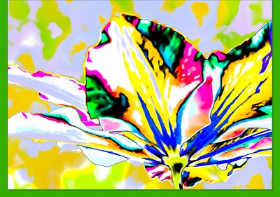 Passion Flower-1074-E-305e-Env With a color coordinated © Artoz envelope