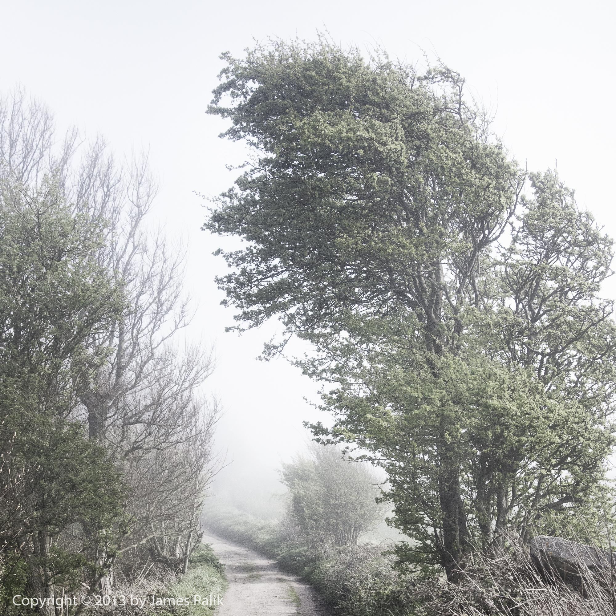 Coastal Path in the Fog - White Cliffs of Dover National Trust