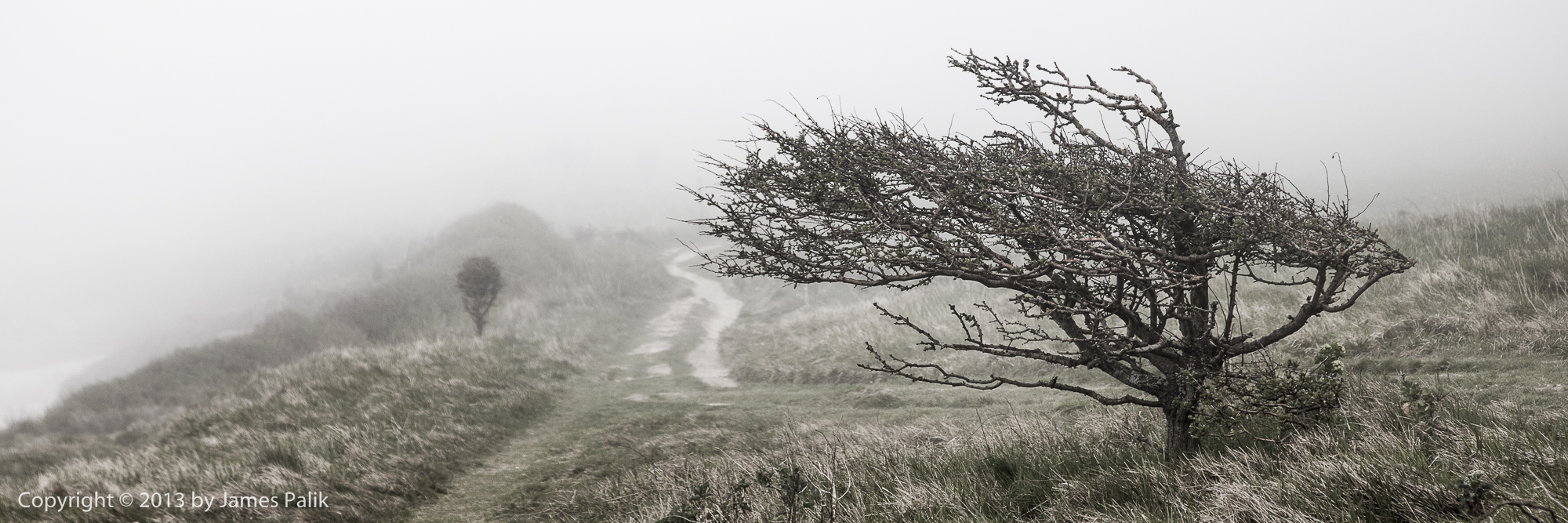 Foggy Trail Along the Dover Cliffs